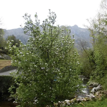 El Molino * Arenas De Cabrales