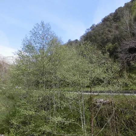 El Molino